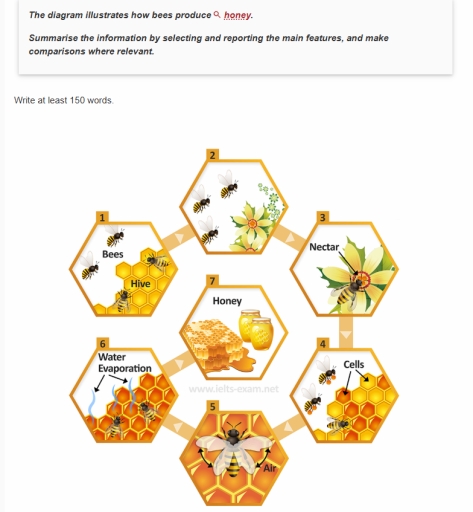 Image for topic: The diagram displays how honey is made. Summarize the main steps and any relevant information.