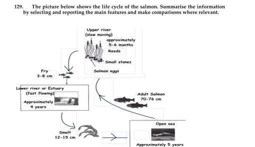 Image for topic: The picture below shows the life cycle of the salmon. Summarise the information by selecting and reporting the main features and make comparisons where relevant.