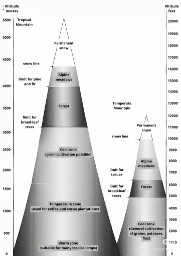Image for topic: The chat illustrates how the landscapes change regarding different altitude heights in two kinds of mountains: tropical mountains and temperate mountains.