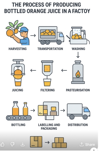 Image for topic: The process of producing bottled orange juice in a factory