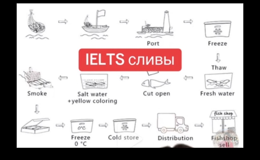 Image for topic: The diagram below shows the process of preparing fish for sale in a fish shop. Summarize the information by selecting and reporting the main features, and make comparisons where relevant.