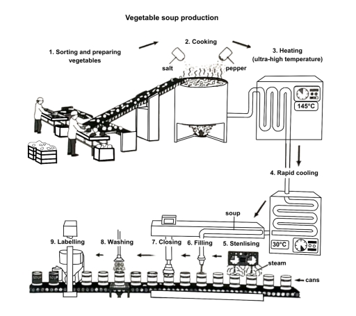 Image for topic: The diagram below shows how cans of vegetables are produced. Summarise the information by selecting and reporting the main features, and make comparisons where relevant. Write at least 150 words.