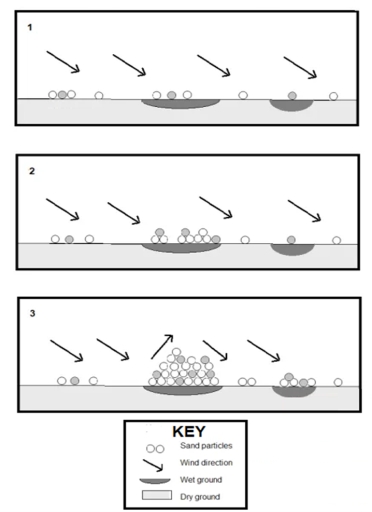 Image for topic: The diagrams below show how sand dunes are formed. Summarise the information by selecting and reporting the main features.