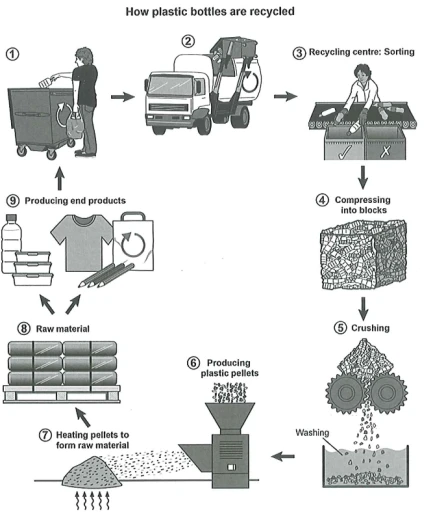 Image for topic: The diagram below shows the process for recycling plastic bottles. Summarize the information by selecting and reporting the main features, and make comparisons where relevant.