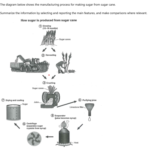 Image for topic: The diagram illustrates the process of online food shopping. Summarize the information by selecting and reporting the main features and make comparisons where relevant.
