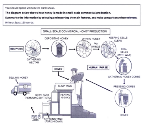 Image for topic: The diagram shows how honey is made in small-scale commercial produciton