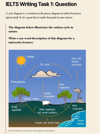 Image for topic: A cycle diagram is a variation on the process diagram in which the process repeats itself. So it's a good idea to make that point in your answer. The diagram below illustrates the carbon cycle in nature. Write a 150-word description of this diagram for a university lecturer.