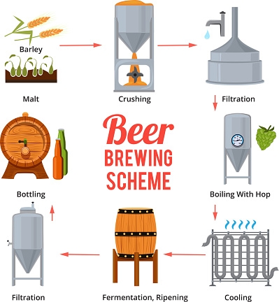Image for topic: the diagrams highlights the stages in brewing beer from malted barley to final bottling