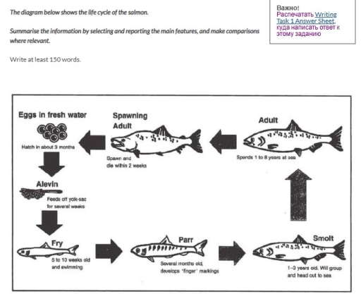 Image for topic: The diagram below shows the life cycle of the salmon. Summarise the information by selecting and reporting the main features, and make comparisons where relevant.