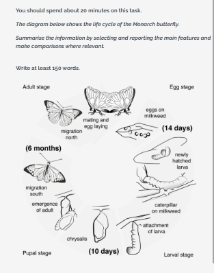 Image for topic: WRITING TASK 1 Summarise the information by selecting and reporting the main features and make comparisons where relevant.