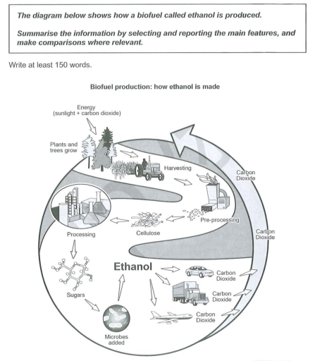 Image for topic: the diagram below shows how biofuel called ehthanol is produced
