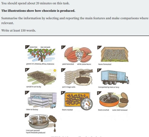 Image for topic: The illustration show how chocolate is produced. Summarize the information by selecting and reporting the main features and make comparisons where relevant.