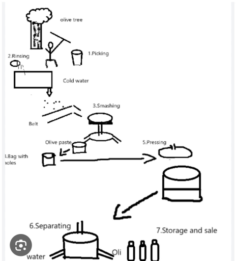 Image for topic: The diagram below shows the process by which olive oil is produced. Summarise the information by selecting and reporting the main features, and make comparisons where relevant.