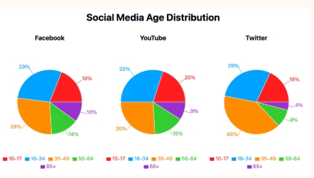 Image for topic: The pie charts below show the age groups of the users on different social media platforms in Australia in 2011. Summarize the information by selecting and reporting the main features, and make a comparison where relevant.