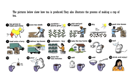 Image for topic: the picture below show hơ tea is produced. And they also illustrate the process of making a cup of tea