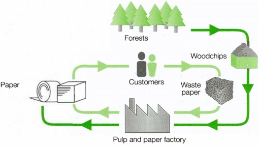 Image for topic: The following diagram shows the paper manufacturing cycle. Summarise the information by selecting and reporting the main features, and make comparisons where relevant. Write at least 150 words.