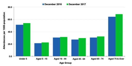 Image for topic: The chart below shows figures for attendances at hospital emergency care departments in Northern Ireland by age group in December 2016 and December 2017. Summarize the information by selecting and reporting the main features and make comparisons where relevant.