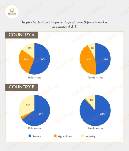 Band 5: The Pie Charts Show The Percentage Of Male & Female Workers In ...