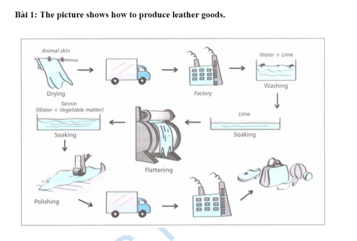 Band 8: The diagram below shows how leather goods are produced ...