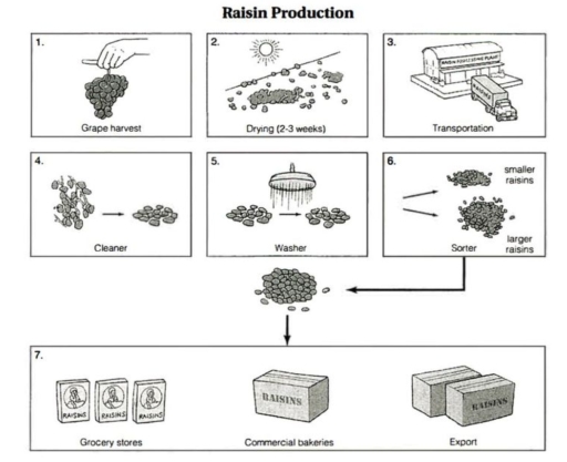 Image for topic: The diagram shown below shows the process of making raisin