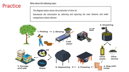 Image for topic: The diagram below shows the production of olive oil. Summarize the information by selecting and reporting the main features and make comparisons where relevant.