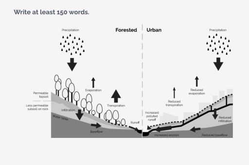Image for topic: The diagram below shows the water cycle in both forested and urban areas. Summarise the information by selecting and reporting the main features and make comparisons where relevant.
