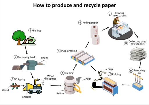 Image for topic: You should spend about 20 minutes on this task. The diagram below shows how to produce and recycle paper.. Summarise the information by selecting and reporting the main features, and make comparison where relevant. You should write at least 150 words.