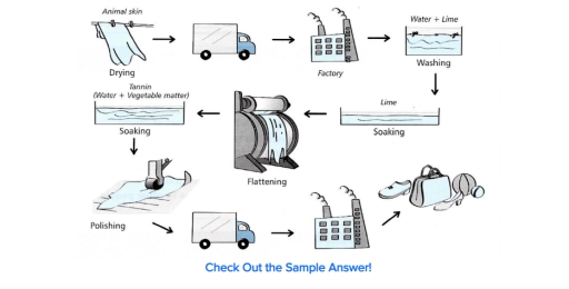 Image for topic: The diagram below shows how leather goods are produced. Summarise the information by selecting and reporting the main features, and making comparisons where relevant.