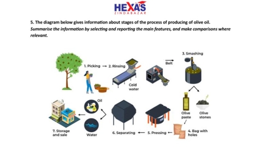 Image for topic: The diagram below gives information about stages of the process of producing of olive oil. Summarise the information by selecting and reporting the main features, and make comparisons where relevant.