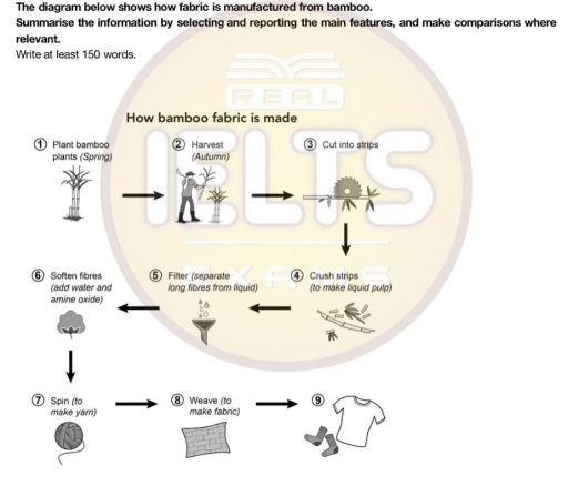 Image for topic: The diagram shows how bamboo plants are made fro. Difdernet stage sinvolves