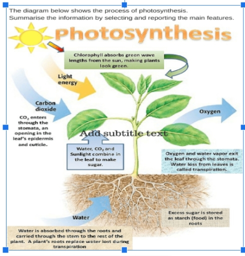 Image for topic: The diagram below shows the process of photosythesis. Summarise the information by selecting and reporting the main features