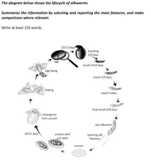 Image for topic: The diagram below shows the lifecycle of silkworms. Summarise the information by selecting and reporting the main features, and make comparisons where relevant.