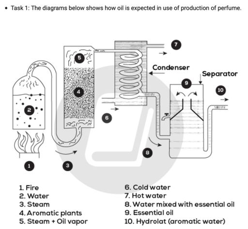 Image for topic: the diagram below shows how oil is extracted in use of producing perfume