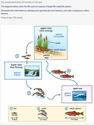 Image for topic: You should spend about 20 minutes on this task. The diagrams below show the life cycle of a species of large fish called the salmon. Summarise the information by selecting and reporting the main features, and make comparisons where relevant. Write at least 150 words.