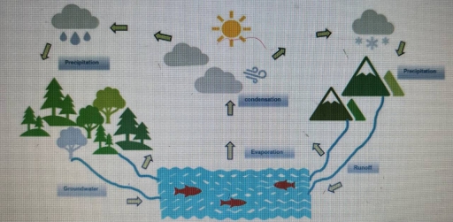 Image for topic: The following diagram shows the cycle of water in nature. Write a report by summarizing the main steps