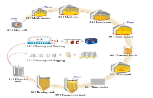 Image for topic: The diagram below shows the process of beer production. Summarise the information by selecting and reporting the main features, and make comparisons where relevant. Write at least 150 words.