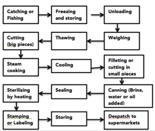 Image for topic: The diagram details the way in which a canned fish is manufactured.