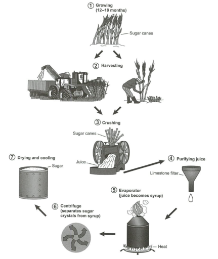 Band 7: The diagram below shows the manufacturing process for making ...