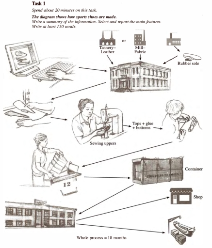 Image for topic: The diagram shows how sports shoes are made. Write a summary of the information. Select and report the main features. Write at least 150 words.