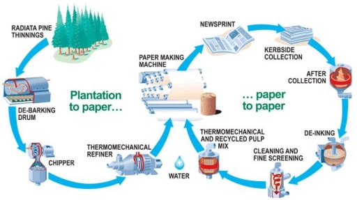 Image for topic: TASK 1📊: The diagram illustrates how paper is produced and how it is recycled.