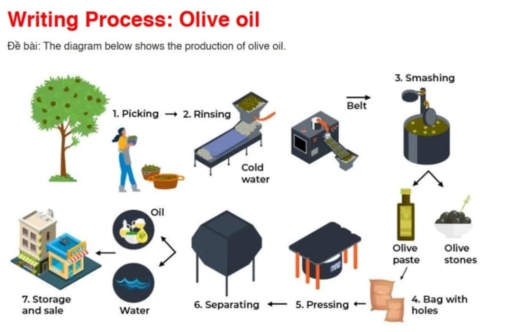 Image for topic: Writing Process: Olive oil Đề bài: The diagram below shows the production of olive oil.