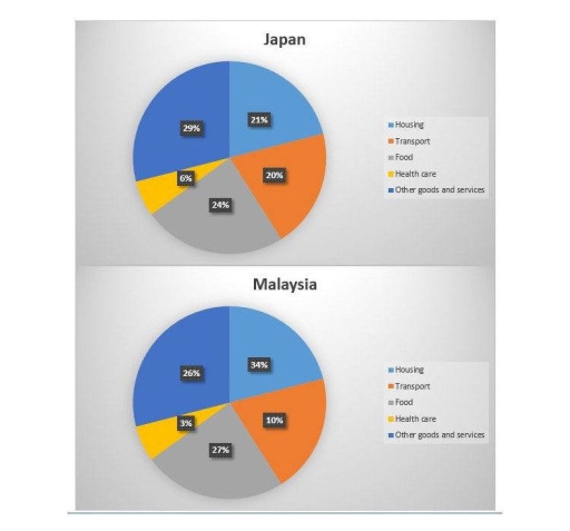 Image for topic: The pie charts compares the average spending patterns of two countries in the year 2010.