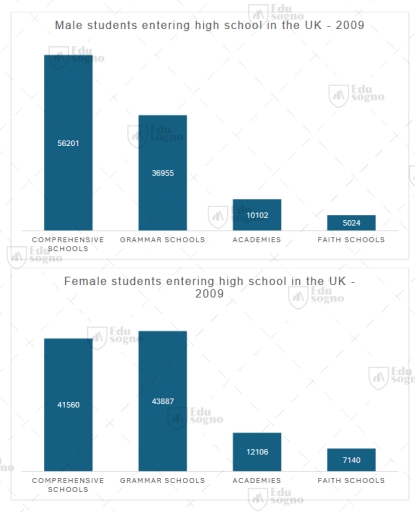 Image for topic: TASK 1 The charts below show what type of High School male and female students chose to attend in the UK in 2009. Summarise the information by selecting and reporting the main features, and make comparisons where relevant.