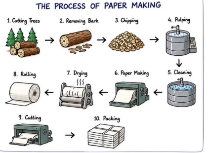 Image for topic: The diagram below shows the process of making paper. Summarise the information by selecting and reporting the main features, and make relevant comparisons where appropriate.