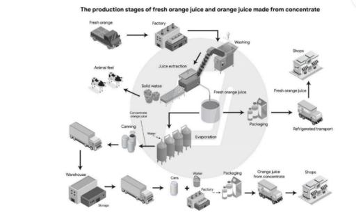 Image for topic: The production stages of fresh orange juice and orange juice made from concentrate