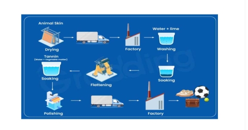 Image for topic: This process describes how new products are made by skin.