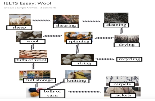 The diagram details the process of making wool. Summarise the ...